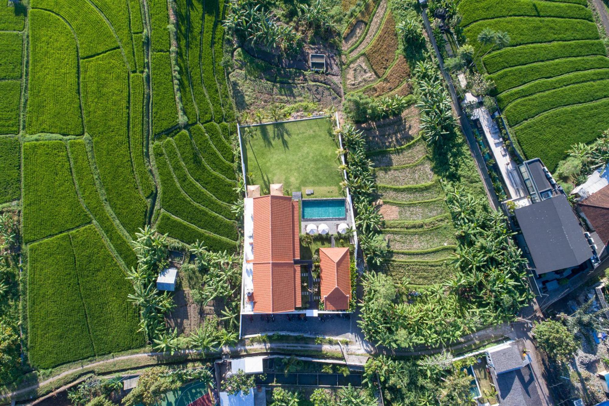 Eden Guest House Canggu 外观 照片